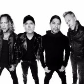 Metallica: “Moth Into The Flame” è un singolo ispirato da Amy Winehouse Metallica: “Moth Into The Flame” è un singolo ispirato da Amy Winehouse