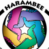 Amministrative Ariano, interviene Harambee Amministrative Ariano, interviene Harambee