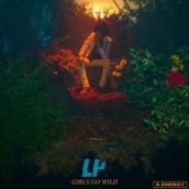 LP – Girls Go Wild LP – Girls Go Wild