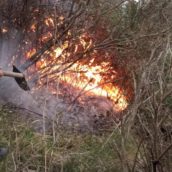 A fuoco un campo di ginestre a Luogosano