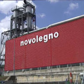 Vertenza Novolegno,Pallini(M5S):”Al Mise risultato utile”. Vertenza Novolegno,Pallini(M5S):”Al Mise risultato utile”.