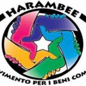 Harambee – Analisi e prospettive politiche Harambee – Analisi e prospettive politiche