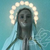 Vandalizzata la statua della Madonna all’ospedale di Polla