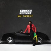 Shaggy – You (feat. Alexander Stewart)