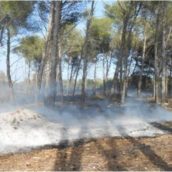 Ariano Irpino informa sul pericolo di incendi boschivi – Ordinanza del Sindaco e numeri utili ai quali i cittadini possono segnalare l’avvistamento. Ariano Irpino informa sul pericolo di incendi boschivi – Ordinanza del Sindaco e numeri utili ai quali i cittadini possono segnalare l’avvistamento.