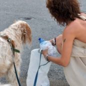 Genova, obbligo di pulire la pipì dei cani