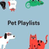 Spotify lancia le playlist musicali per animali Spotify lancia le playlist musicali per animali
