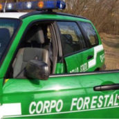 Valle Ufita, farina priva di rintracciabilità, multa al titolare di un pastificio Valle Ufita, farina priva di rintracciabilità, multa al titolare di un pastificio