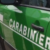 Ariano Irpino, sanzione amministrativa per un commerciante Ariano Irpino, sanzione amministrativa per un commerciante