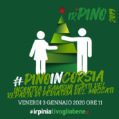 IL PINO IRPINO ARRIVA IN CORSIA IL PINO IRPINO ARRIVA IN CORSIA
