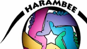 Ariano Irpino, riflessione politica di Harambee Ariano Irpino, riflessione politica di Harambee