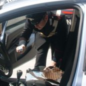 Valle Caudina, servizi antidroga da parte dei Carabinieri della Compagnia di Avellino Valle Caudina, servizi antidroga da parte dei Carabinieri della Compagnia di Avellino