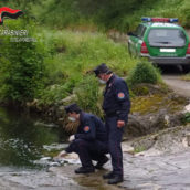 Solofra, inquinamento ambientale.Denunciate cinque persone Solofra, inquinamento ambientale.Denunciate cinque persone