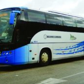 A16, ignoti lanciano sassi da un cavalcavia e sfondano parabrezza bus Air A16, ignoti lanciano sassi da un cavalcavia e sfondano parabrezza bus Air