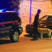Lotta alla droga in Alta Irpinia: tre persone segnalate come assuntori Lotta alla droga in Alta Irpinia: tre persone segnalate come assuntori