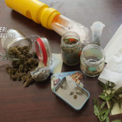 Avellino, la droga non sfugge al fiuto di “Tex”: 22enne arrestato dai Carabinieri Avellino, la droga non sfugge al fiuto di “Tex”: 22enne arrestato dai Carabinieri