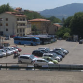 Avvistamento di un grosso felino ad Avellino