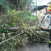 Video/Pioggia e forte vento in Irpinia.Vigili del Fuoco al lavoro Video/Pioggia e forte vento in Irpinia.Vigili del Fuoco al lavoro