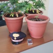 Controlli straordinari in Valle Telesina da parte dei Carabinieri.Eseguite sanzioni,denunce,perquisizioni Controlli straordinari in Valle Telesina da parte dei Carabinieri.Eseguite sanzioni,denunce,perquisizioni