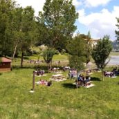Laceno, aree pic-nic Covid free per passare una giornata all’aperto Laceno, aree pic-nic Covid free per passare una giornata all’aperto