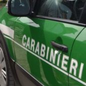 Combustione di residui vegetali a Forino: un’altra denuncia da parte dei Carabinieri Forestali