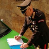 Calvi, scarica ramaglie e potature su strada e vicino a bosco: multato cittadino Calvi, scarica ramaglie e potature su strada e vicino a bosco: multato cittadino