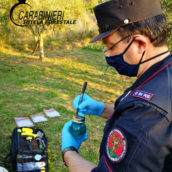 Avvelenamento delle acque di un pozzo a Pannarano: scatta il sequestro Avvelenamento delle acque di un pozzo a Pannarano: scatta il sequestro