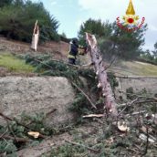 Albero cade sulla carreggiata della A16, nessun veicolo coinvolto Albero cade sulla carreggiata della A16, nessun veicolo coinvolto