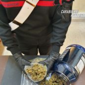 Avellino, denunciata per spaccio la titolare di un canapa shop Avellino, denunciata per spaccio la titolare di un canapa shop