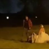 La sposa esagera con i brindisi e il matrimonio finisce in rissa La sposa esagera con i brindisi e il matrimonio finisce in rissa