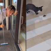 Francesco Totti dà la caccia ad un topolino in casa: il video è esilarante