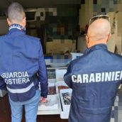 Prodotti ittici sequestrati a Telese Terme. Sanzioni per tremila euro Prodotti ittici sequestrati a Telese Terme. Sanzioni per tremila euro