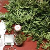Santo Stefano del Sole, 18enne sorpreso in possesso di marijuana: arrestato dai Carabinieri Santo Stefano del Sole, 18enne sorpreso in possesso di marijuana: arrestato dai Carabinieri