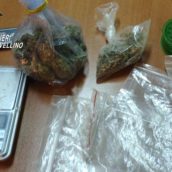 Nusco, sequestro di marijuana: denunciati 4 giovanissimi Nusco, sequestro di marijuana: denunciati 4 giovanissimi