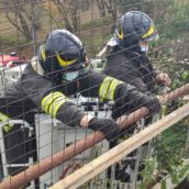Avellino, tubolari pericolanti sul viadotto della variante: caschi rossi in azione Avellino, tubolari pericolanti sul viadotto della variante: caschi rossi in azione