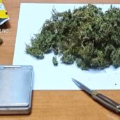 Volturara Irpina, coltivava marijuana: 48enne arrestato dai Carabinieri