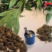 Calabritto, lotta alla droga: denunciato 50enne e segnalato un giovane assuntore Calabritto, lotta alla droga: denunciato 50enne e segnalato un giovane assuntore