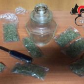 Sorpreso in possesso di mezzo etto di marijuana: 24enne arrestato per spaccio Sorpreso in possesso di mezzo etto di marijuana: 24enne arrestato per spaccio