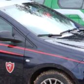 Calabritto, detiene un cinghiale in cattività: 70enne denunciato Calabritto, detiene un cinghiale in cattività: 70enne denunciato