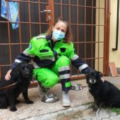 A Lucca dei volontari portano a spasso i cani di chi è in quarantena A Lucca dei volontari portano a spasso i cani di chi è in quarantena