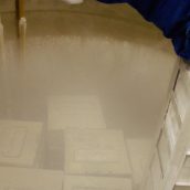 377 persone si sono fatte ibernare nella speranza di tornare in vita in futuro 377 persone si sono fatte ibernare nella speranza di tornare in vita in futuro
