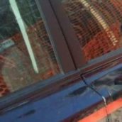 San Bartolomeo in Galdo, truffa sul reddito di cittadinanza: denunciate undici persone San Bartolomeo in Galdo, truffa sul reddito di cittadinanza: denunciate undici persone