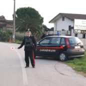 Ammazza il suo cane con colpo di fucile: denunciato Ammazza il suo cane con colpo di fucile: denunciato