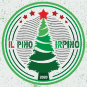 Riparte il Pino Irpino per la sua settima edizione Riparte il Pino Irpino per la sua settima edizione
