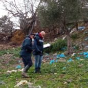 Fortore, rifiuti pericolosi e carcasse di animali in decomposizione: sequestri in un’azienda zootecnica Fortore, rifiuti pericolosi e carcasse di animali in decomposizione: sequestri in un’azienda zootecnica