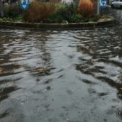 Torna il maltempo in Campania: da domani ancora temporali e vento forte Torna il maltempo in Campania: da domani ancora temporali e vento forte