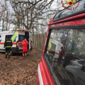 Sant’Angelo dei Lombardi, 65enne si ferisce mentre taglia un albero: trasportato al “Moscati” Sant’Angelo dei Lombardi, 65enne si ferisce mentre taglia un albero: trasportato al “Moscati”