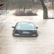 Lioni, anziana automobilista perde l’orientamento e si ritrova nelle acque dell’Ofanto: intervento dei Carabinieri Lioni, anziana automobilista perde l’orientamento e si ritrova nelle acque dell’Ofanto: intervento dei Carabinieri
