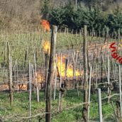 Montefredane, perdita di gas fa bruciare il vigneto Montefredane, perdita di gas fa bruciare il vigneto