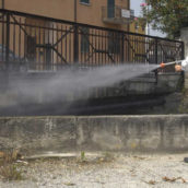 Benevento, nuovo ciclo di interventi di derattizzazione in città Benevento, nuovo ciclo di interventi di derattizzazione in città